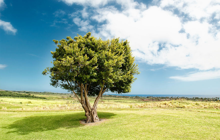 PA旗舰厅(中国区)官方网站-PlayAce